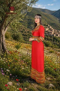Elegant and modern Kabyle wedding dress